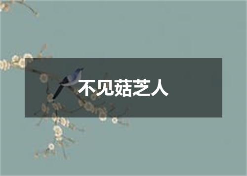 不见菇芝人