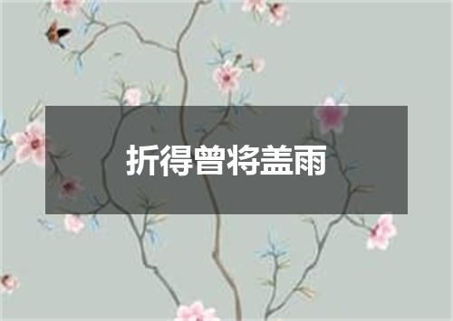 折得曾将盖雨