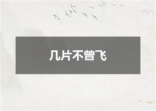 几片不曾飞
