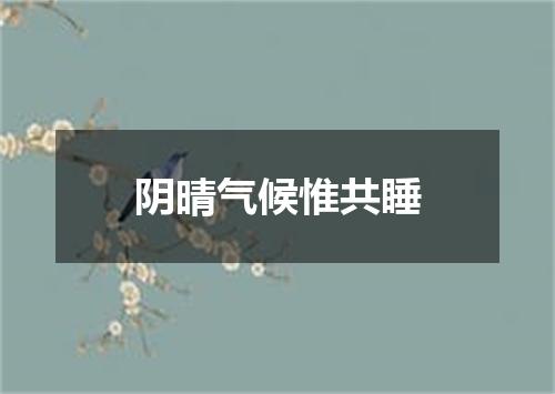阴晴气候惟共睡