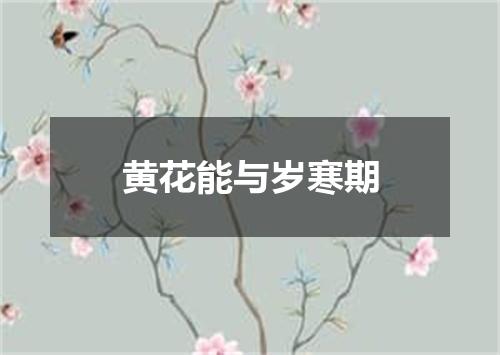 黄花能与岁寒期