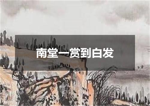 南堂一赏到白发