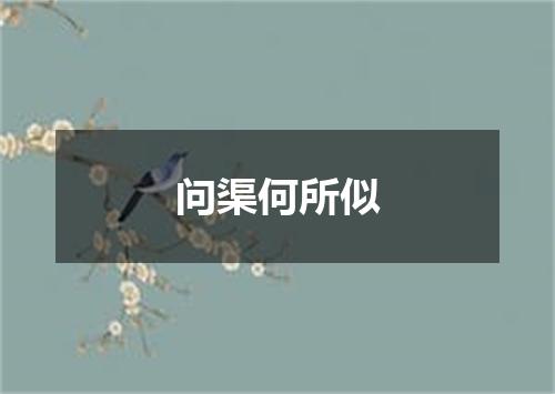 问渠何所似