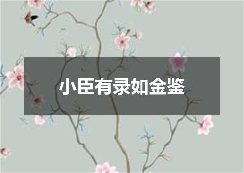 小臣有录如金鉴