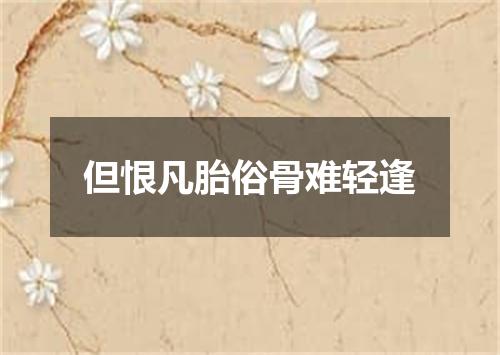 但恨凡胎俗骨难轻逢