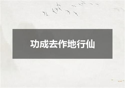 功成去作地行仙