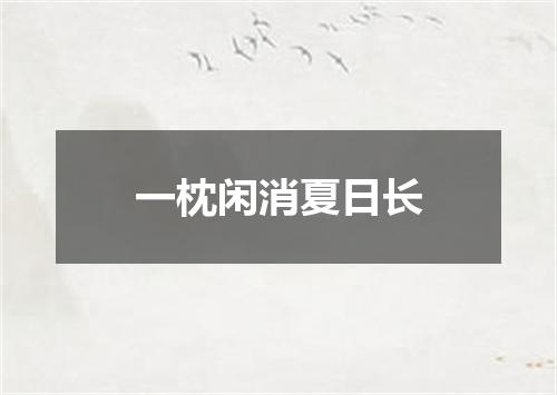 一枕闲消夏日长