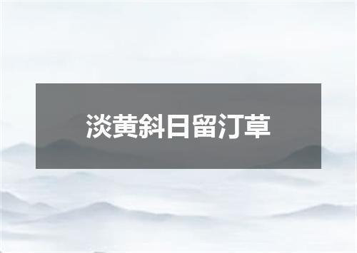 淡黄斜日留汀草