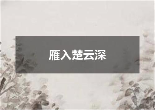 雁入楚云深