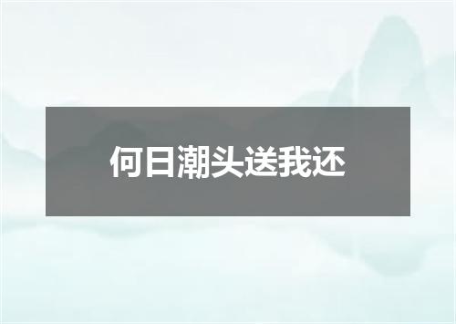 何日潮头送我还
