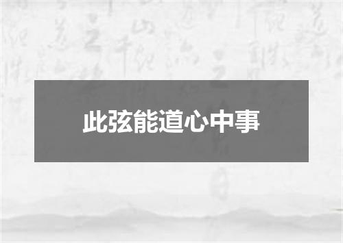 此弦能道心中事