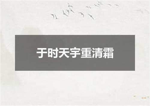 于时天宇重清霜