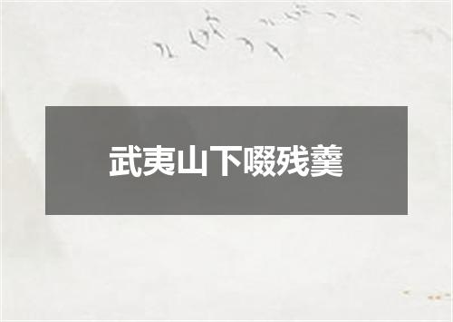 武夷山下啜残羹