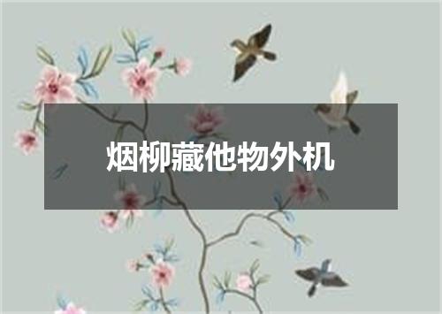 烟柳藏他物外机