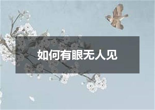 如何有眼无人见