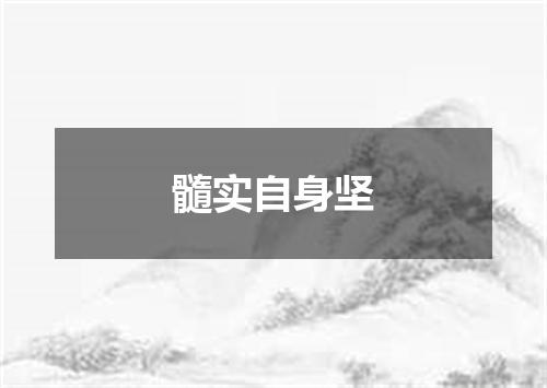髓实自身坚