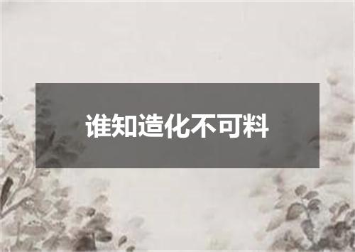 谁知造化不可料