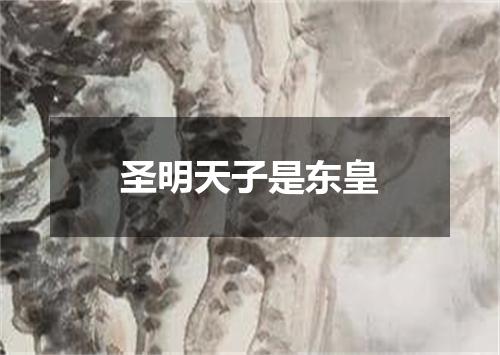 圣明天子是东皇