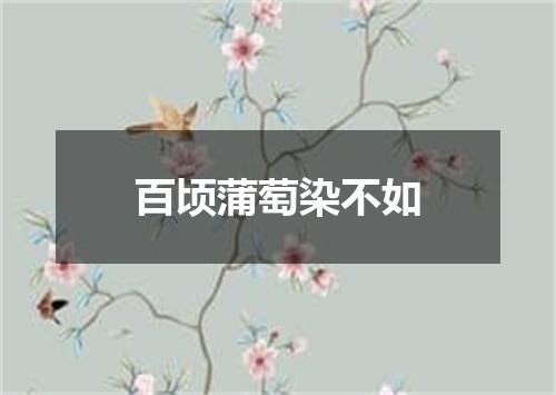 百顷蒲萄染不如