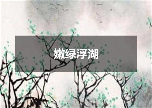 嫩绿浮湖