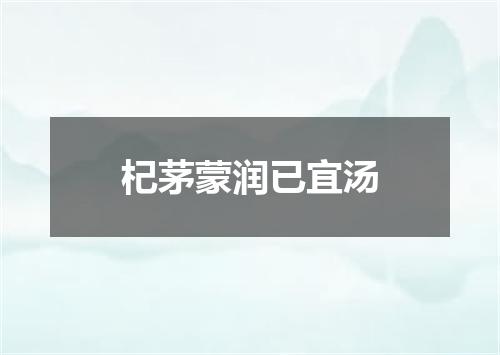 杞茅蒙润已宜汤