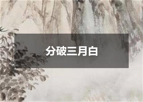 分破三月白