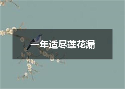 一年适尽莲花漏
