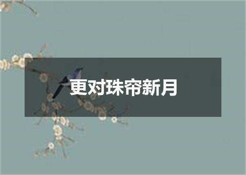 更对珠帘新月