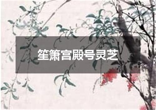 笙箫宫殿号灵芝