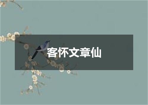 客怀文章仙