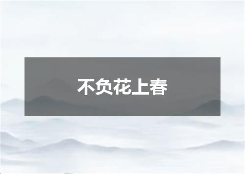 不负花上春