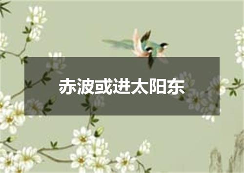 赤波或进太阳东