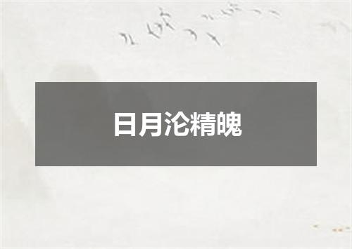 日月沦精魄