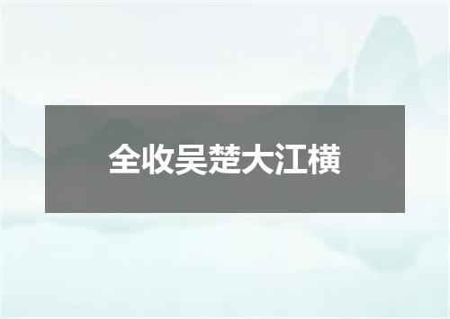 全收吴楚大江横