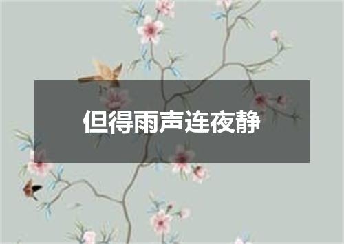 但得雨声连夜静