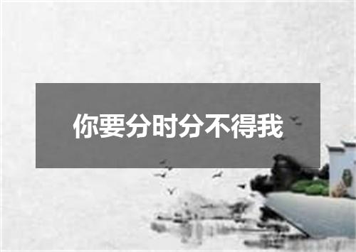 你要分时分不得我