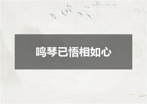 鸣琴已悟相如心