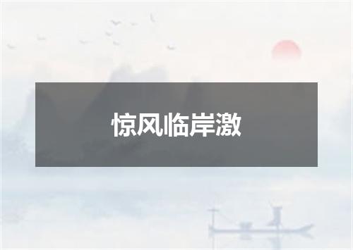 惊风临岸激