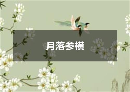 月落参横