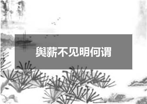 舆薪不见明何谓