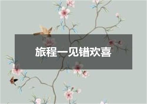 旅程一见错欢喜