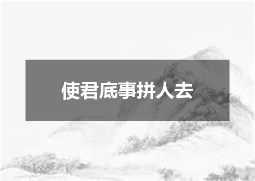 使君底事拼人去