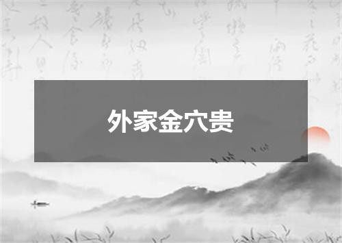 外家金穴贵