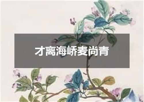 才离海峤麦尚青