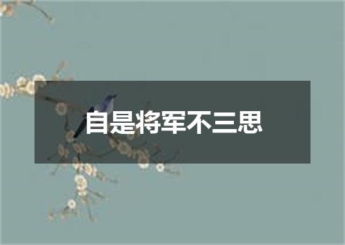 自是将军不三思