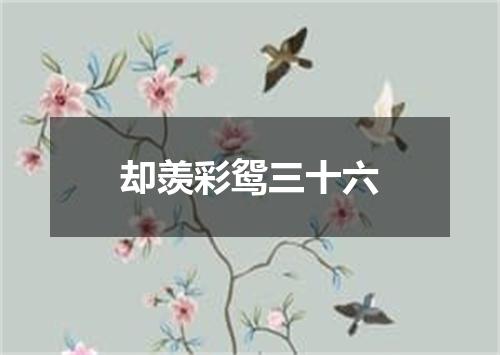 却羡彩鸳三十六