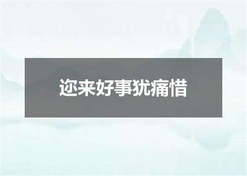 迩来好事犹痛惜