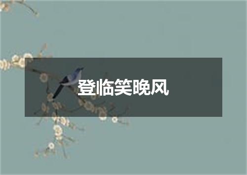 登临笑晚风