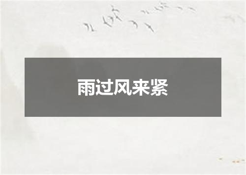 雨过风来紧
