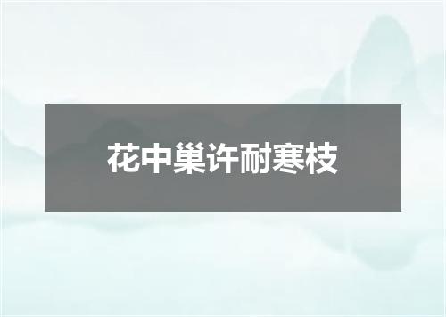 花中巢许耐寒枝